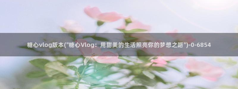 糖心vlog包子叫什么