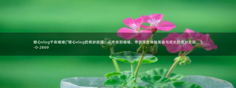  糖心视频vlog深夜释放自己下载：糖心vlog千夜喵喵(\