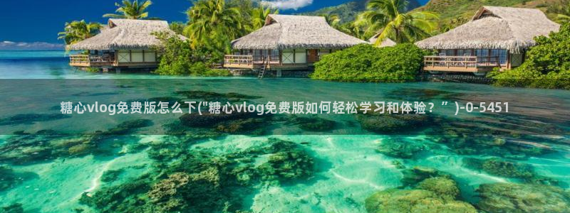 t糖心vlog