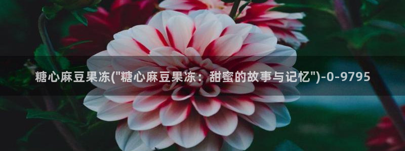 心糖vlog免费
