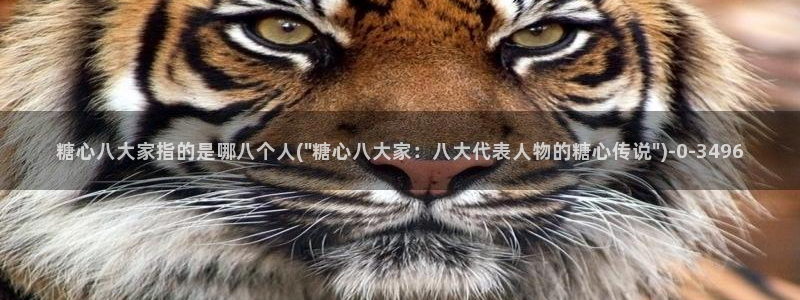 糖心vlog精品一区