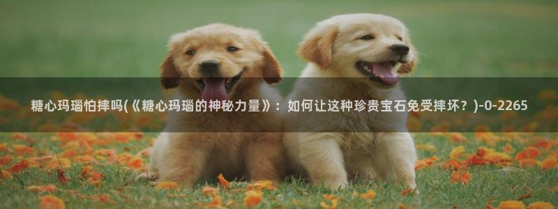 糖心vlog国产专区