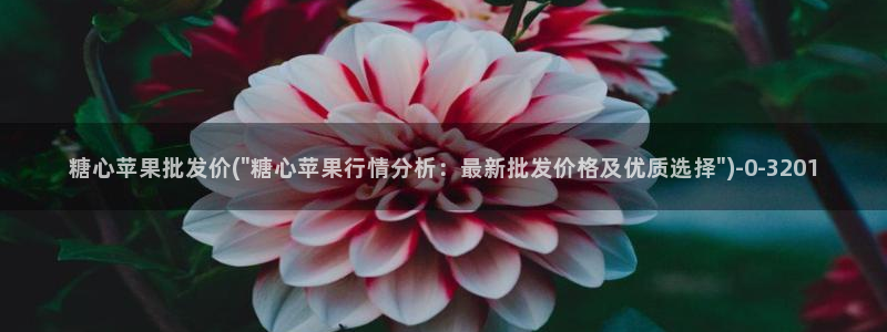 心糖vlog