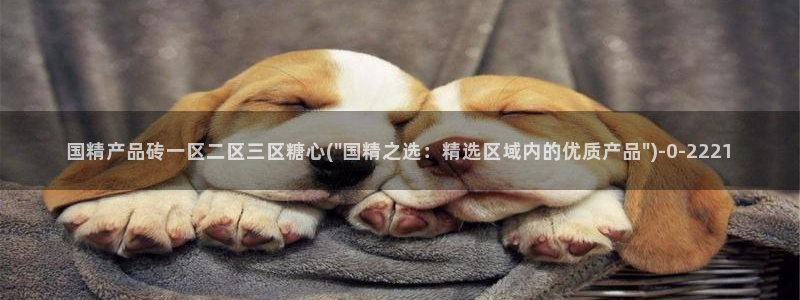 心糖vlog短视频