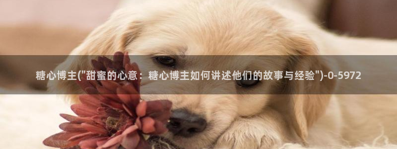 糖心vlog免费观看网站