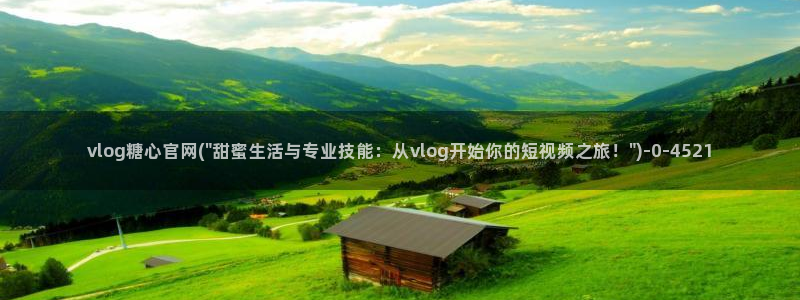 糖心txvlogcom