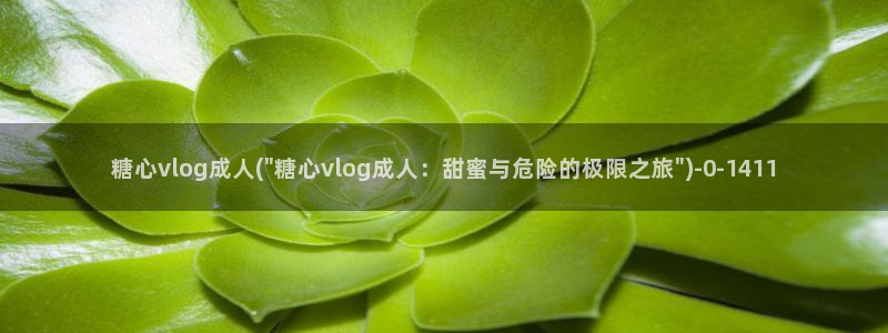  糖心vlog软件是正规的吗：糖心vlog成人(\